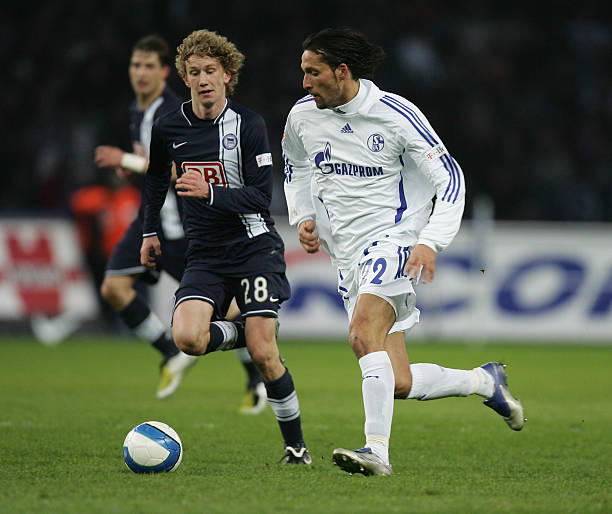 更是引发了 更是引发了